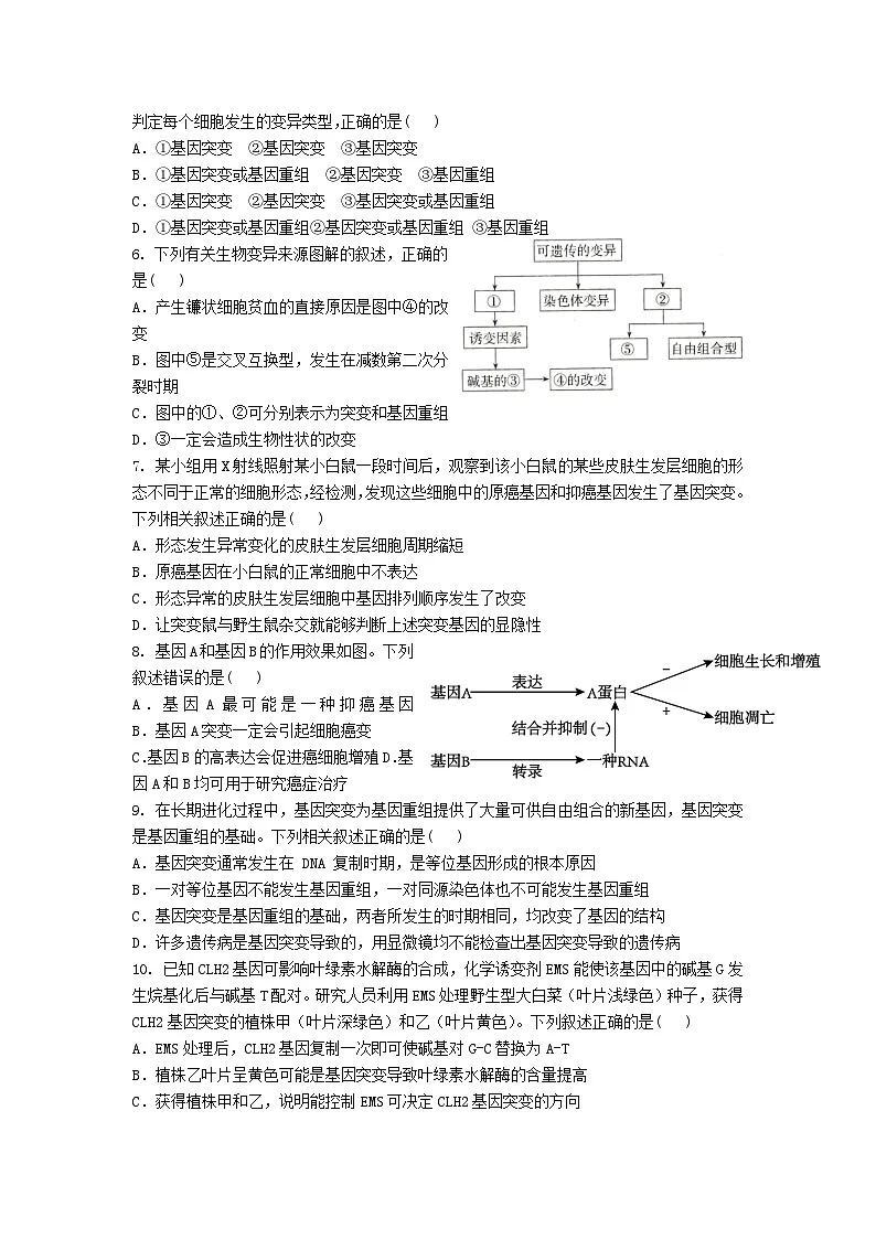 高中人教版生物必修2同步作业及答案-第5章 第1节 基因突变与基因重组第2页