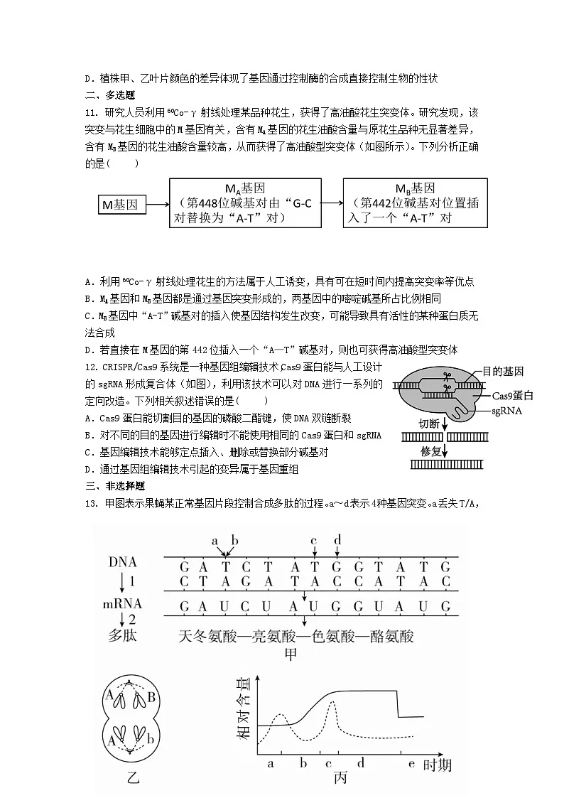 高中人教版生物必修2同步作业及答案-第5章 第1节 基因突变与基因重组第3页