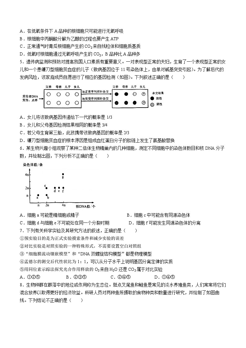 2023届天津市河北区高三下学期总复习质量监测(二)生物试题 附答案第2页