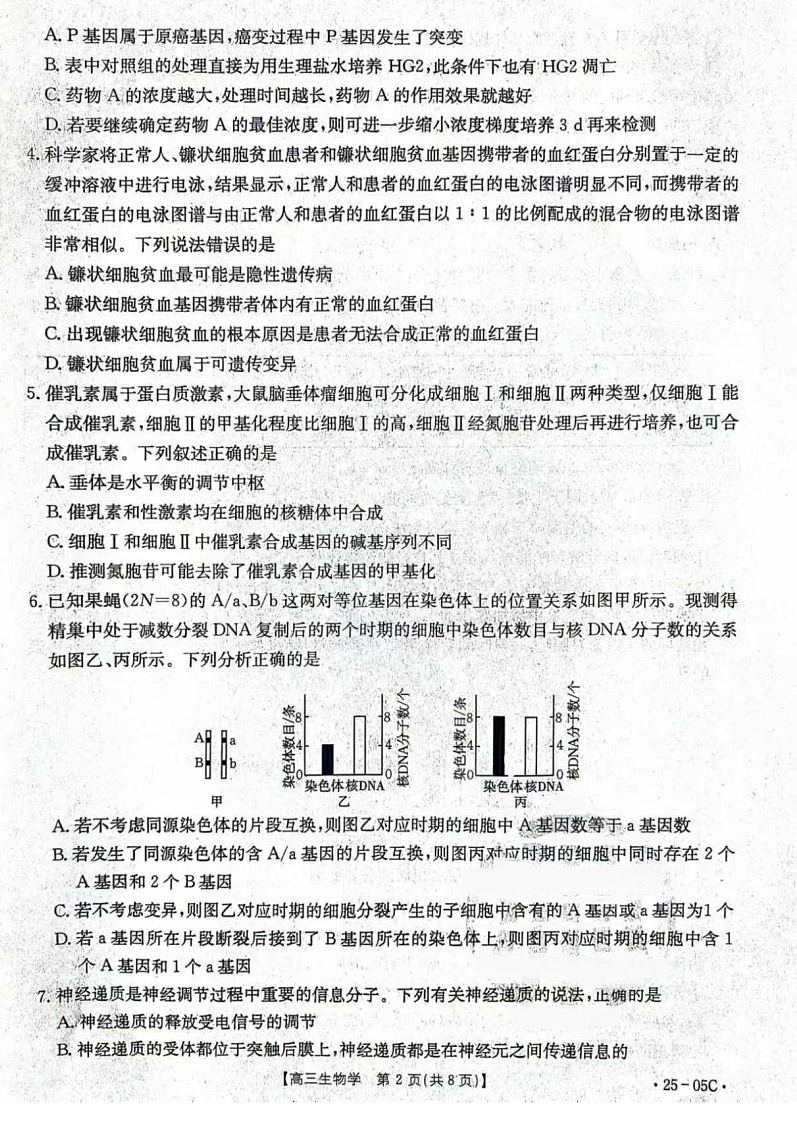 2025届河北省金太阳&邢襄联盟高三上学期开学考（25-05C）-生物试题（含答案）第2页