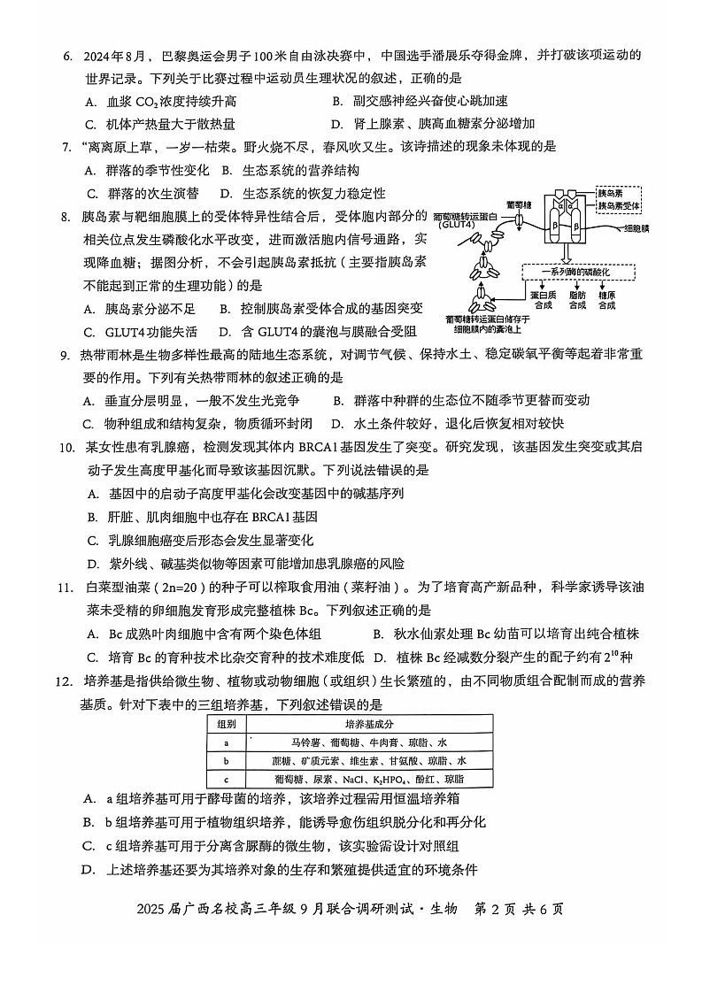 2025届广西名校联盟高三9月联合调研-生物试题（含答案）第2页