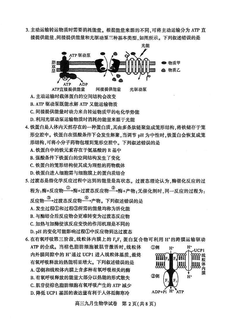 2025届湖北省武汉市高三九月调研考-生物试题（含答案）第2页