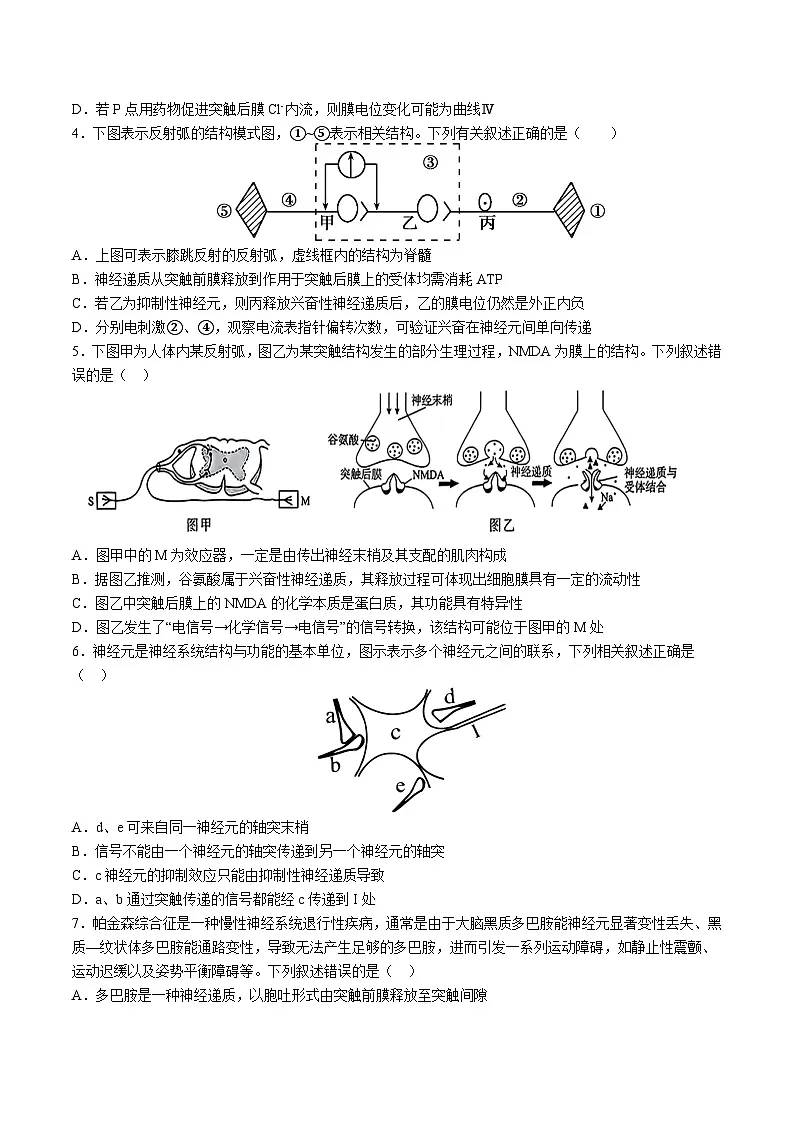 高中人教版生物选择性必修1同步作业及答案-第2章 第3节 神经冲动的产生和传导第2页