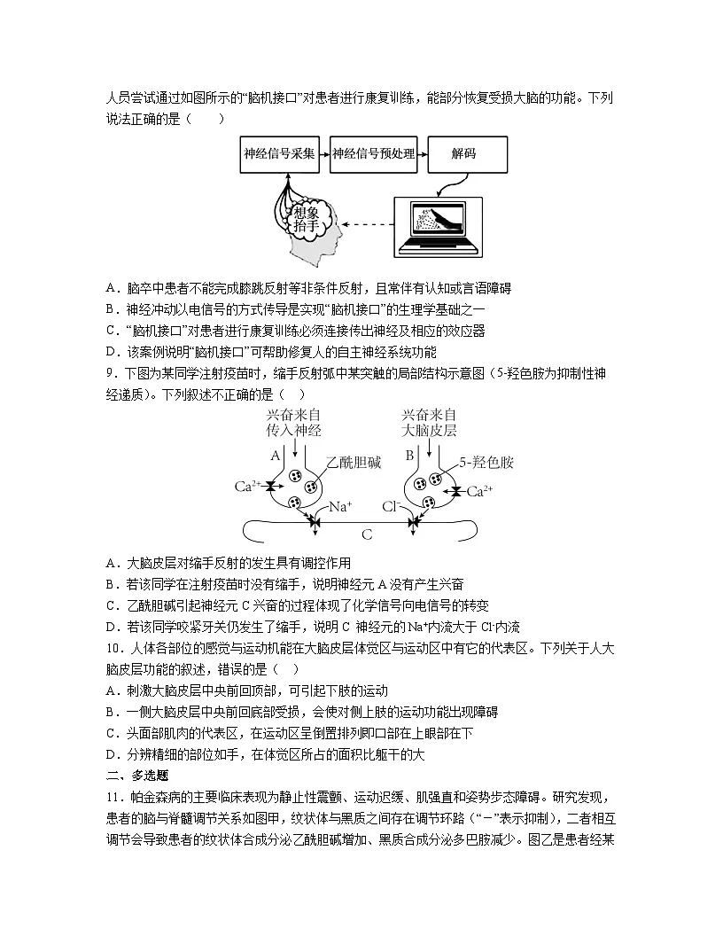 高中人教版生物选择性必修1同步作业及答案-第2章 第4节神经系统的分级调节第3页