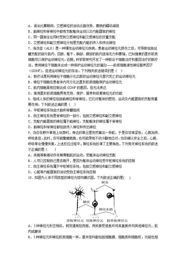 高中人教版生物选择性必修1同步作业及答案-第2章 第1节 神经调节的结构基础第2页