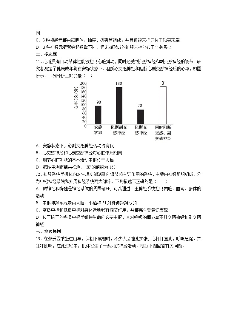 高中人教版生物选择性必修1同步作业及答案-第2章 第1节 神经调节的结构基础第3页