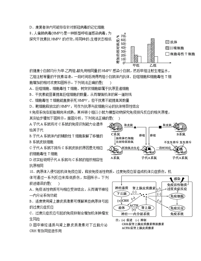 高中人教版生物选择性必修1同步作业及答案-第4章 第2节 特异性免疫（第2课时)第3页