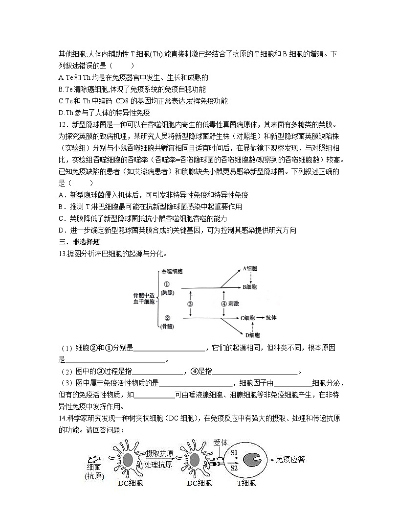 高中人教版生物选择性必修1同步作业及答案-第4章 第1节   免疫系统的组成和功能第3页
