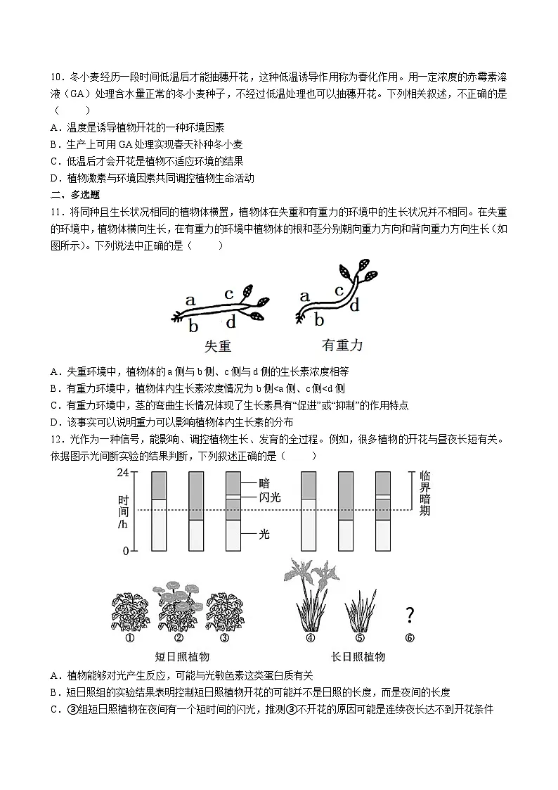 高中人教版生物选择性必修1同步作业及答案-第5章 第4节 环境因素参与调节植物的生命活动第3页