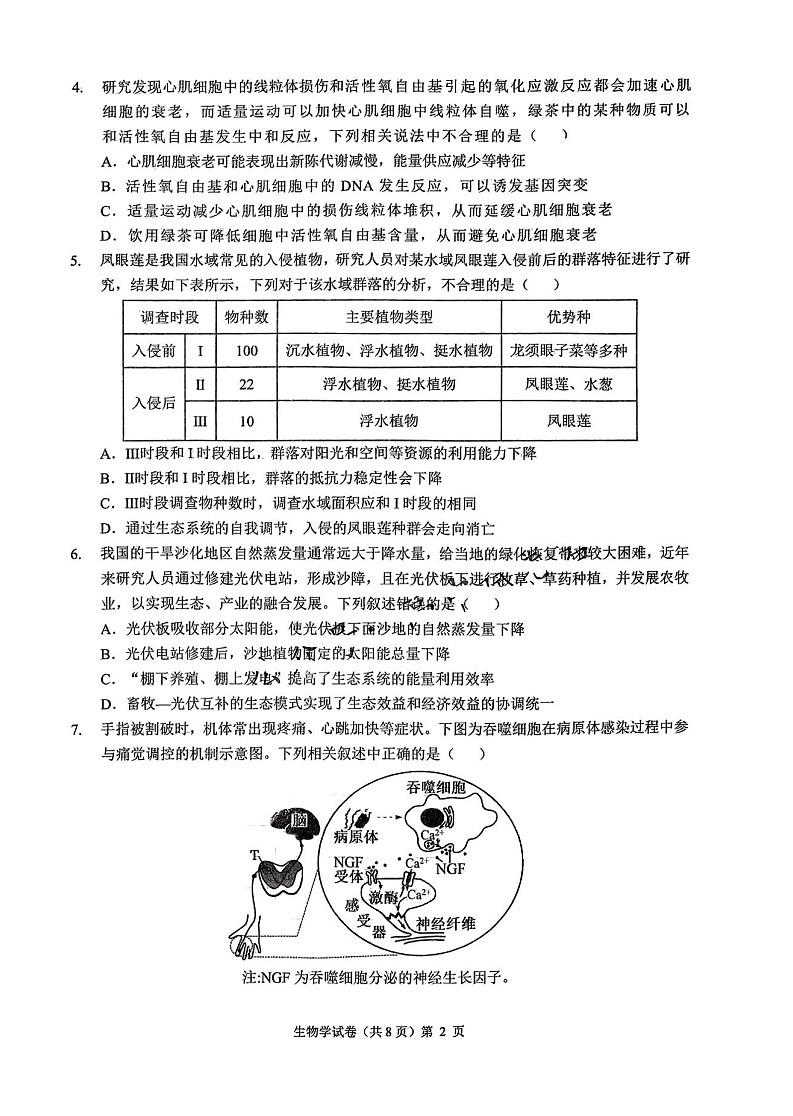 2025届安徽省江淮十校高三第一次联考-生物试卷（含答案）第2页
