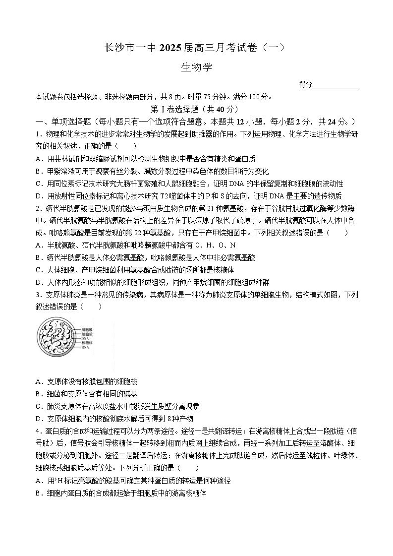 2025届湖南省德英才长沙市一中高三月考试卷（一）-生物试卷（含答案）第1页