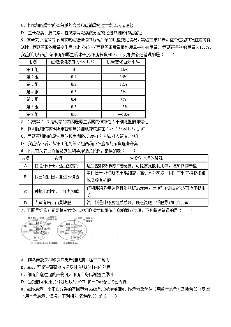 2025届湖南省德英才长沙市一中高三月考试卷（一）-生物试卷（含答案）第2页