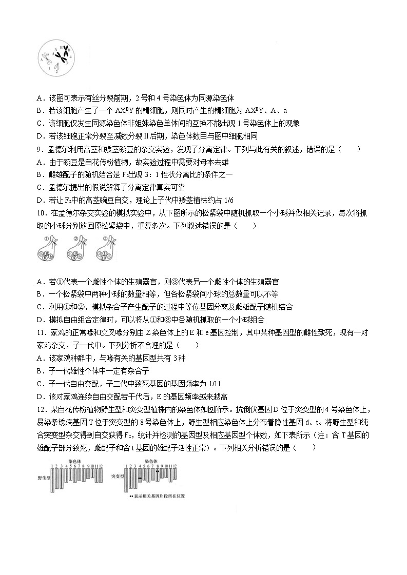 2025届湖南省德英才长沙市一中高三月考试卷（一）-生物试卷（含答案）第3页