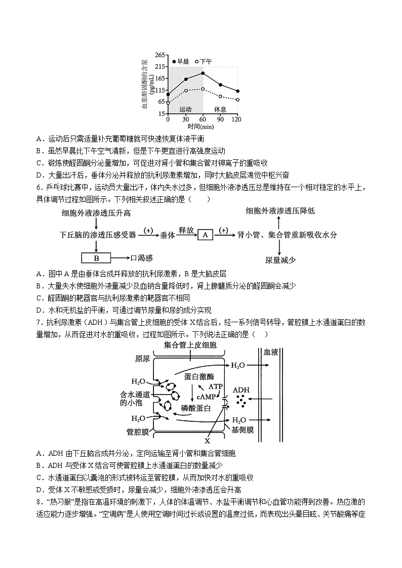 高中人教版生物选择性必修1同步作业及答案-第3章 第3节第2课时 水盐平衡调节第2页