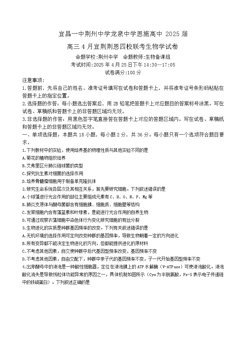 湖北省宜荆荆恩四校（宜昌一中、荆州中学、龙泉中学、恩施高中）2025届高三下学期4月联考生物试卷Word版含答案第1页