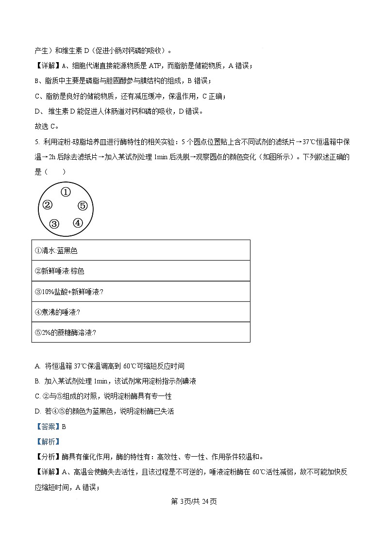 2025届浙江省北斗星盟高三三模生物试题（解析版）第3页