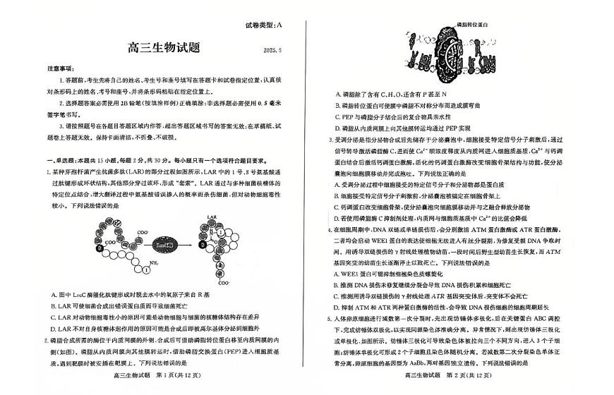 2025年山东省滨州市高考高三二模生物试题及其答案第1页