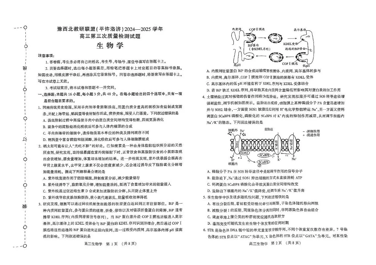 河南省豫西北教研联盟（许平洛济）2025届高三下学期5月第三次质量检测生物试卷+答案第1页
