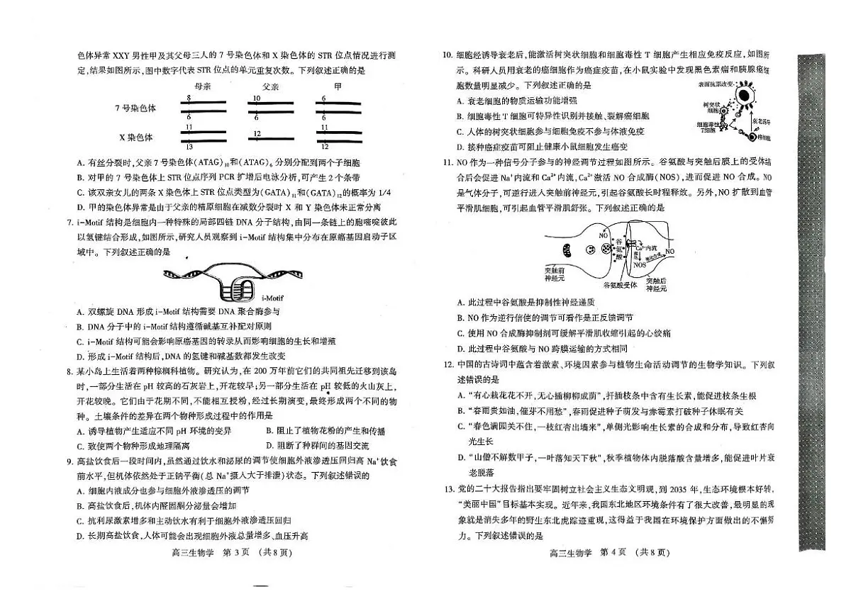 河南省豫西北教研联盟（许平洛济）2025届高三下学期5月第三次质量检测生物试卷+答案第2页