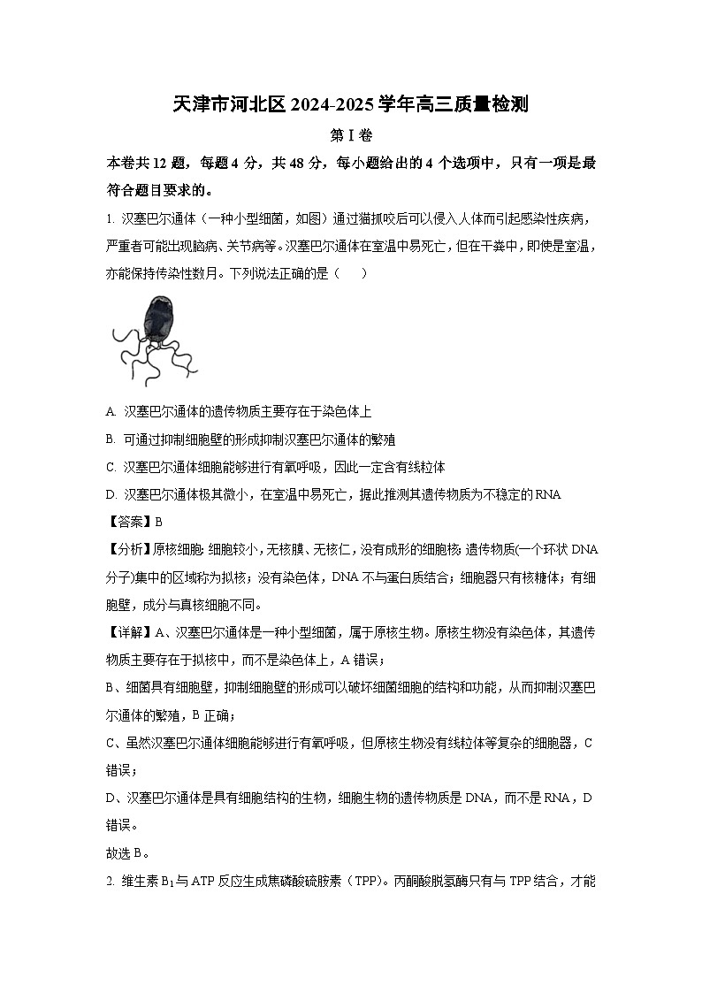 天津市河北区2024-2025学年高三质量检测生物试题（解析版）第1页