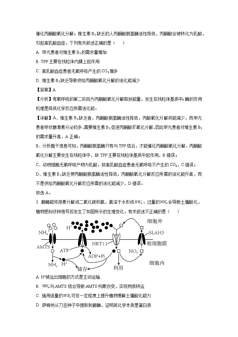 天津市河北区2024-2025学年高三质量检测生物试题（解析版）第2页