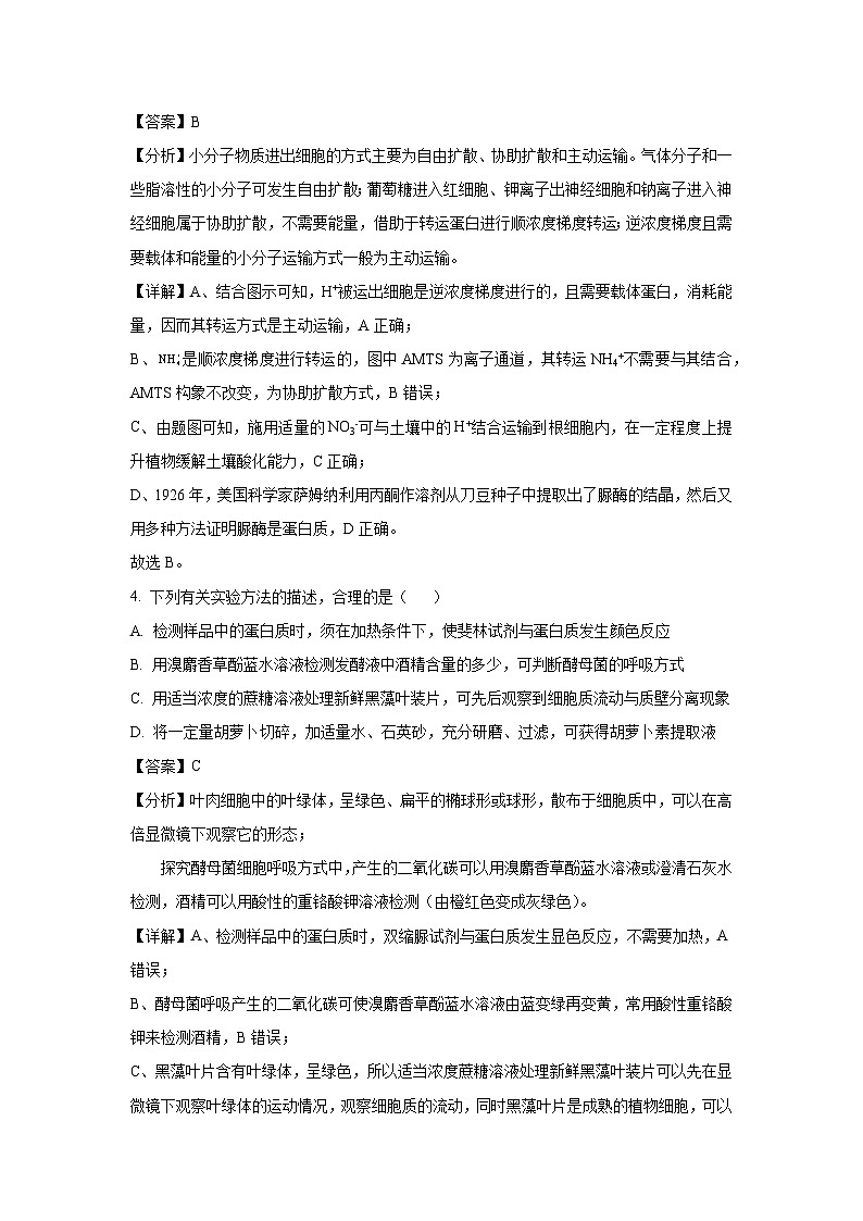 天津市河北区2024-2025学年高三质量检测生物试题（解析版）第3页