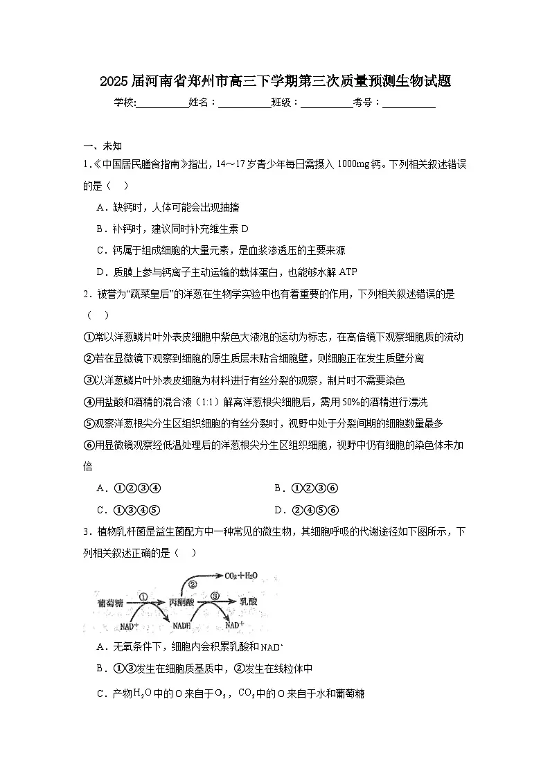 2025届河南省郑州市高三下学期第三次质量预测生物试题（无答案）第1页