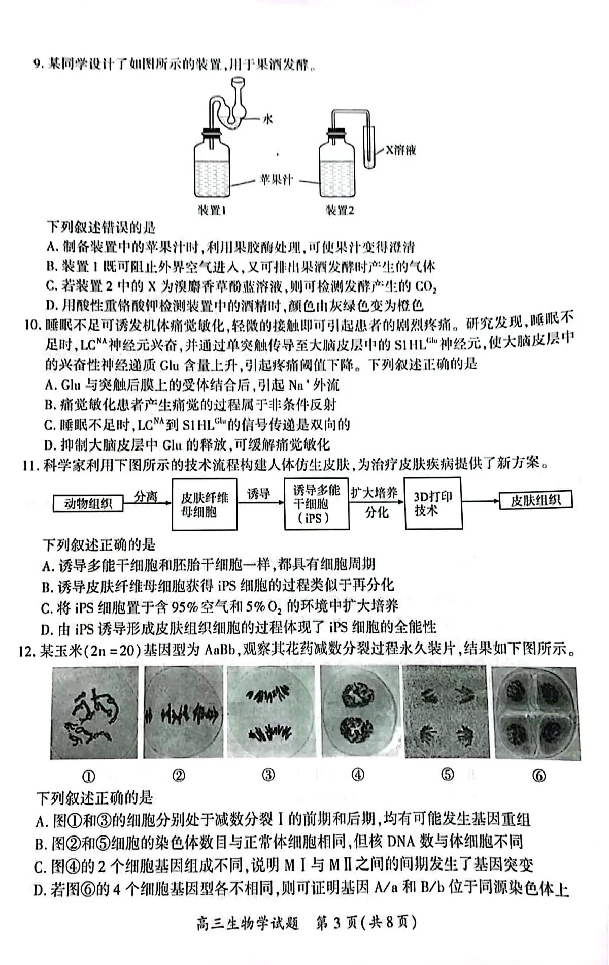 厦门市2025 届高三毕业班第四次质量检测-生物试卷第3页