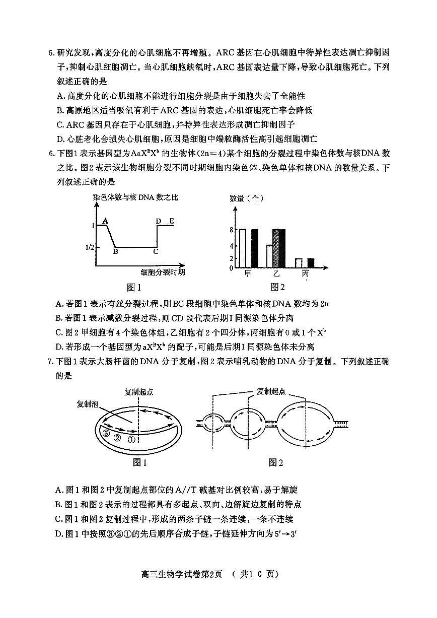 【生物试卷+标答】南京二模2025.05第2页