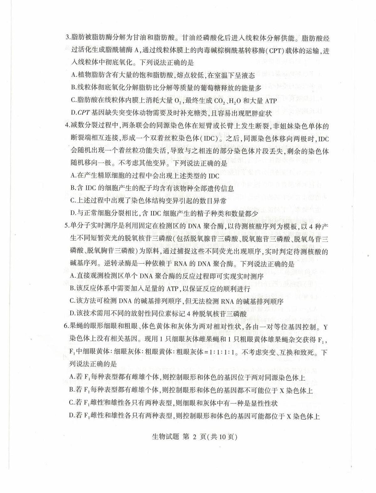 山东省临沂市2025届高三高考模拟第二次模拟-生物试题无答案第2页