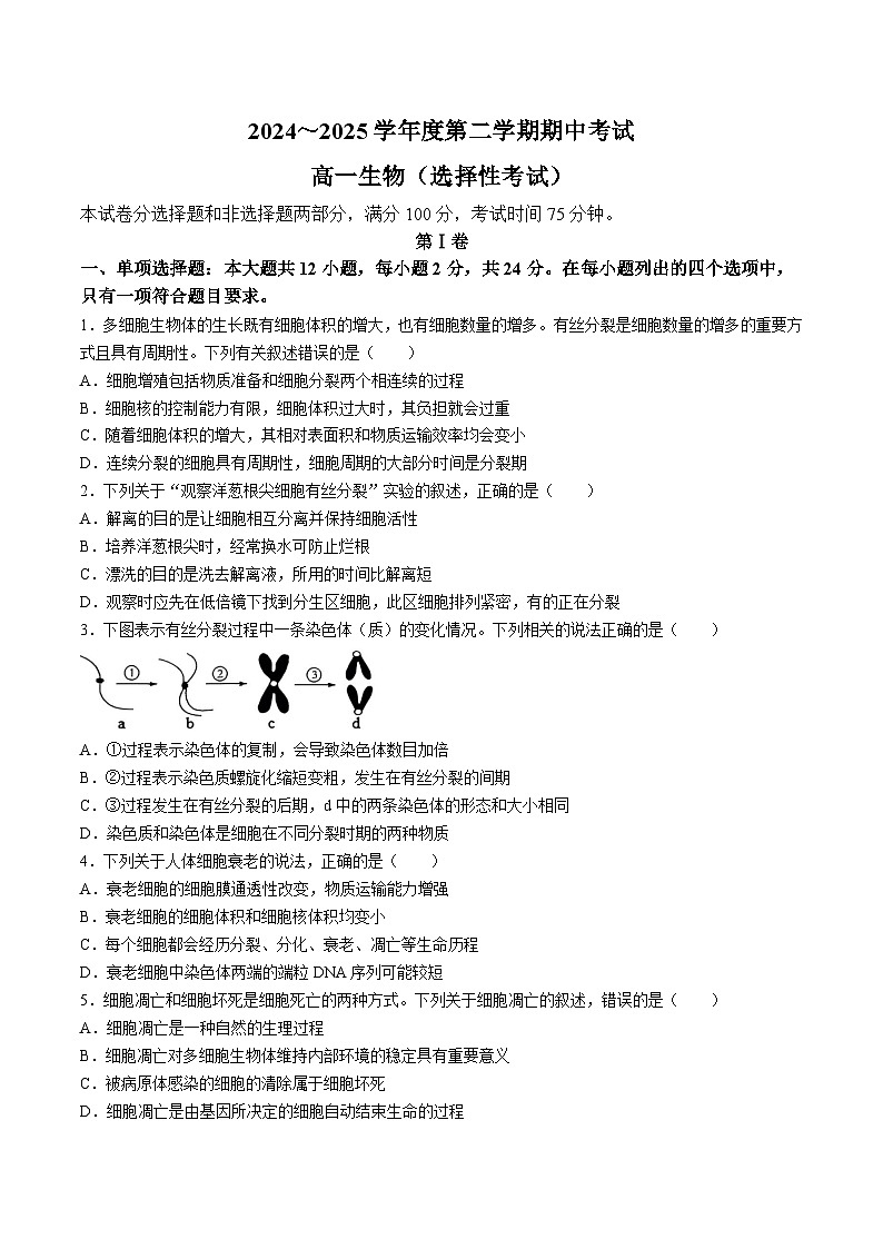 广东省茂名市电白区2024-2025学年高一下学期期中考试 生物（选考） 含答案第1页