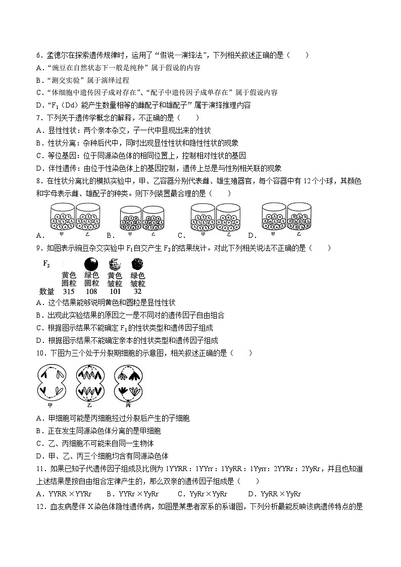 广东省茂名市电白区2024-2025学年高一下学期期中考试 生物（选考） 含答案第2页