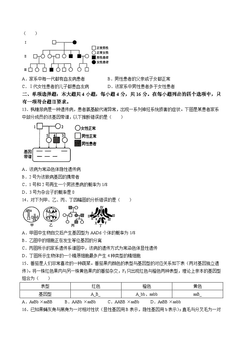 广东省茂名市电白区2024-2025学年高一下学期期中考试 生物（选考） 含答案第3页