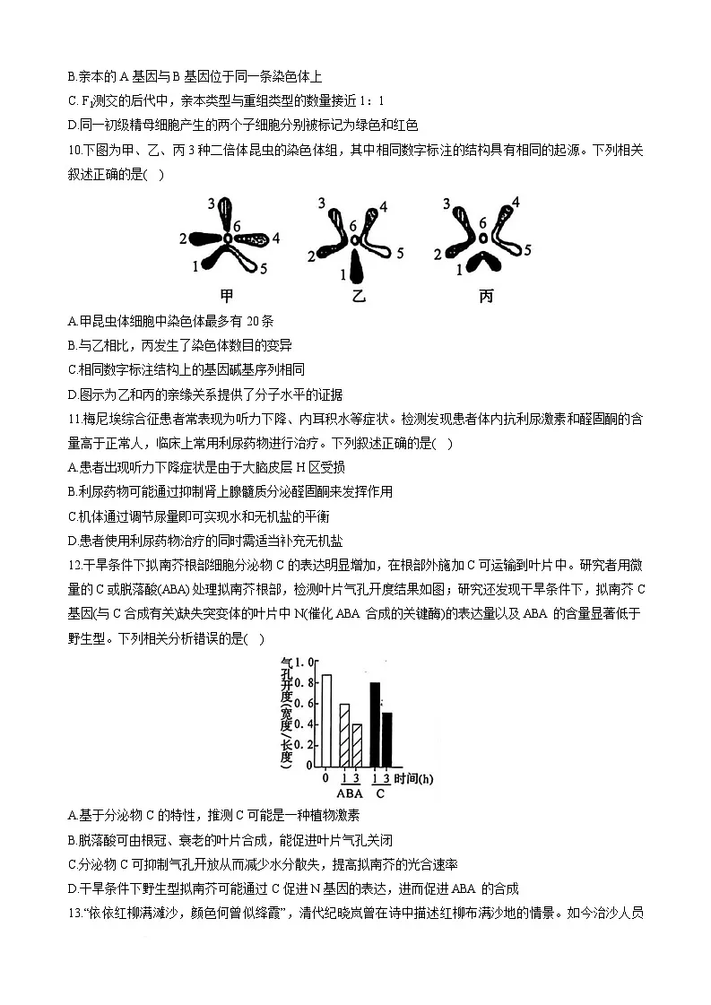 湖北省鄂东南联盟2025届高三下学期5月联考生物试卷 含答案第3页