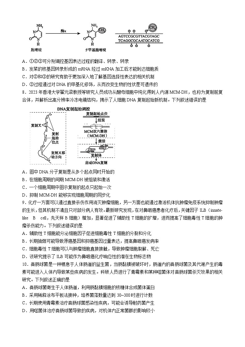 2024届安徽省鼎尖联盟高三下学期三模联考生物试题（含答案）第3页