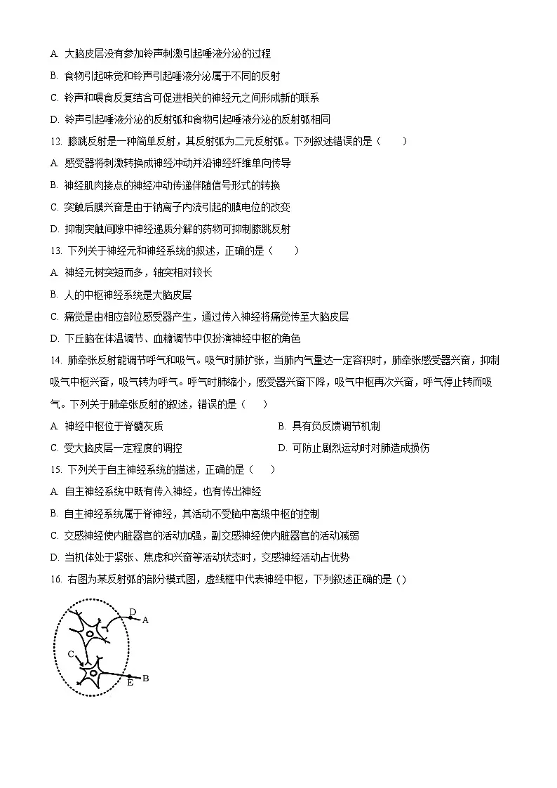 宁夏银川一中2023-2024学年高二上学期期中生物试题第3页