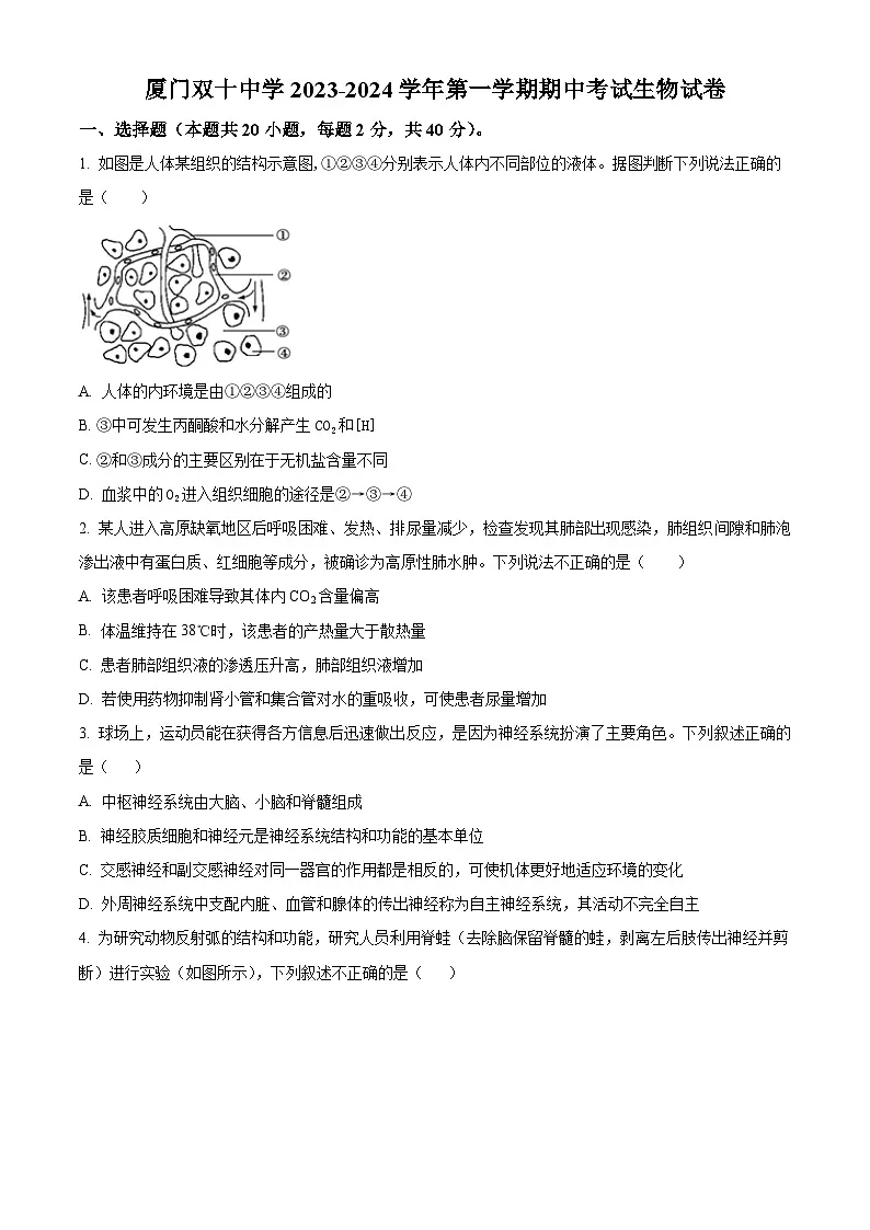 福建省厦门市双十中学2023-2024学年高二上学期期中生物试题第1页