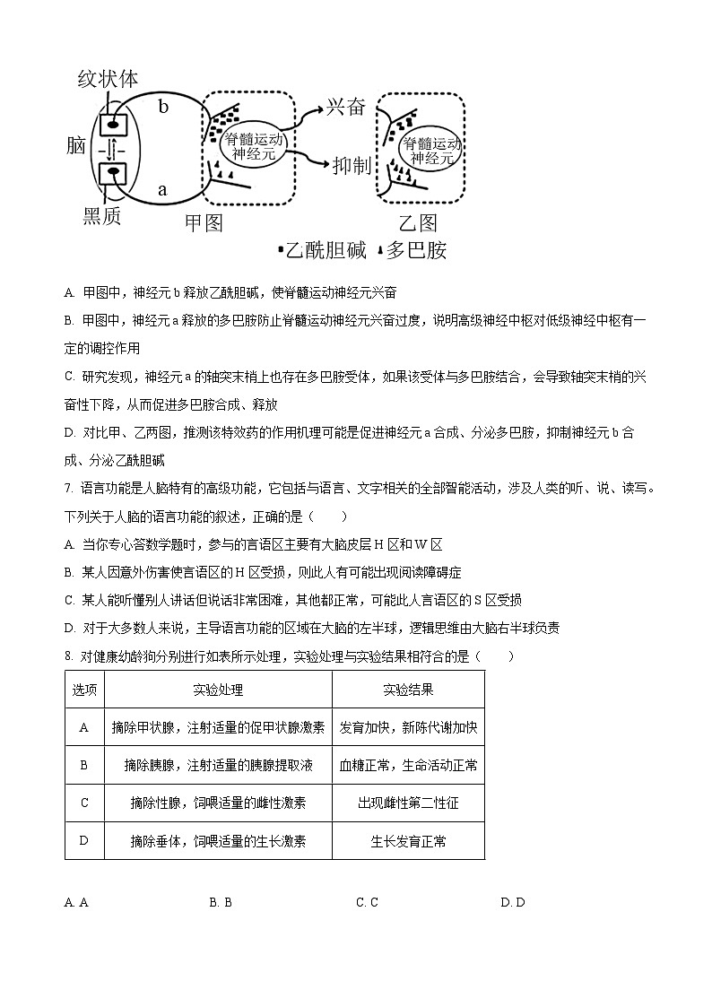 福建省厦门市双十中学2023-2024学年高二上学期期中生物试题第3页