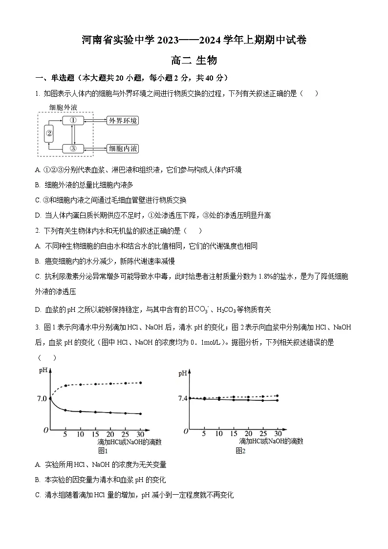 河南省实验中学2023-2024学年高二上学期期中生物试题第1页