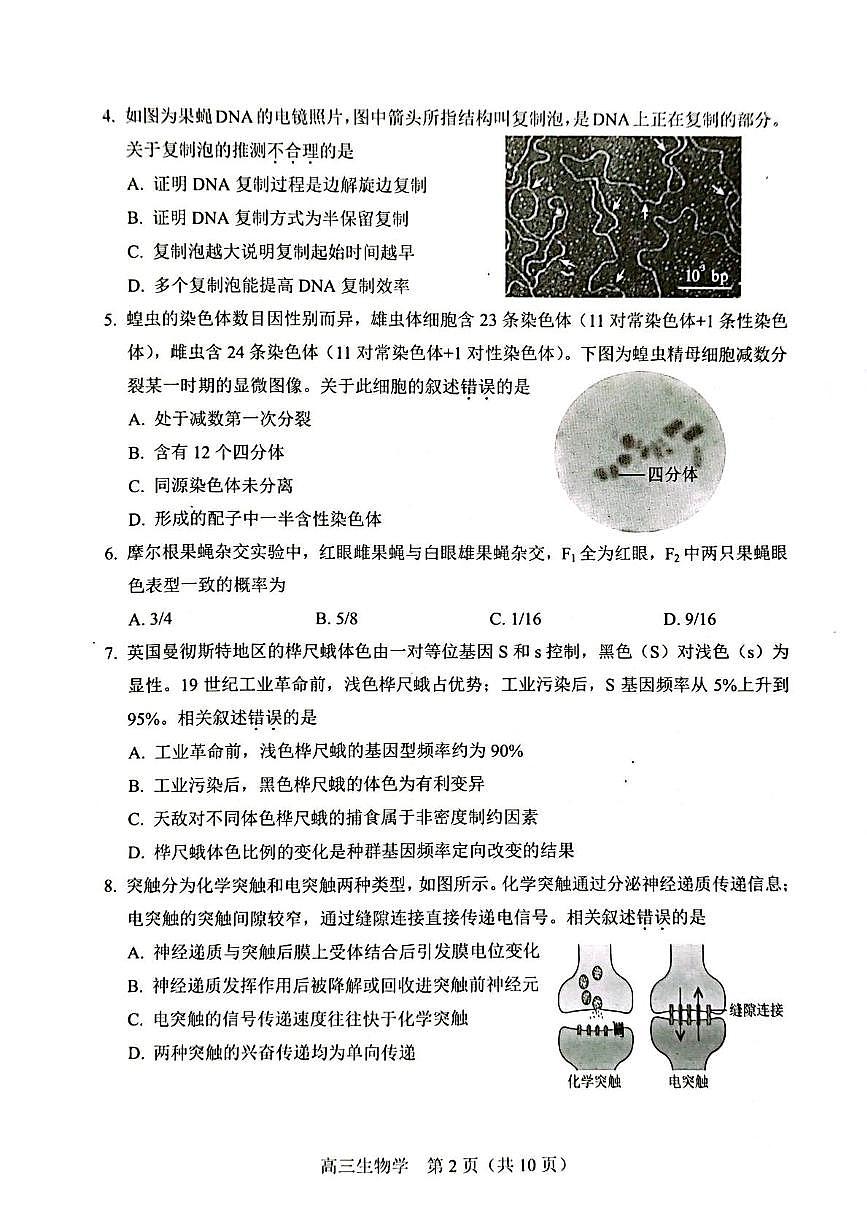 2025届北京市丰台区高三二模生物试题（高考模拟）(002)第2页