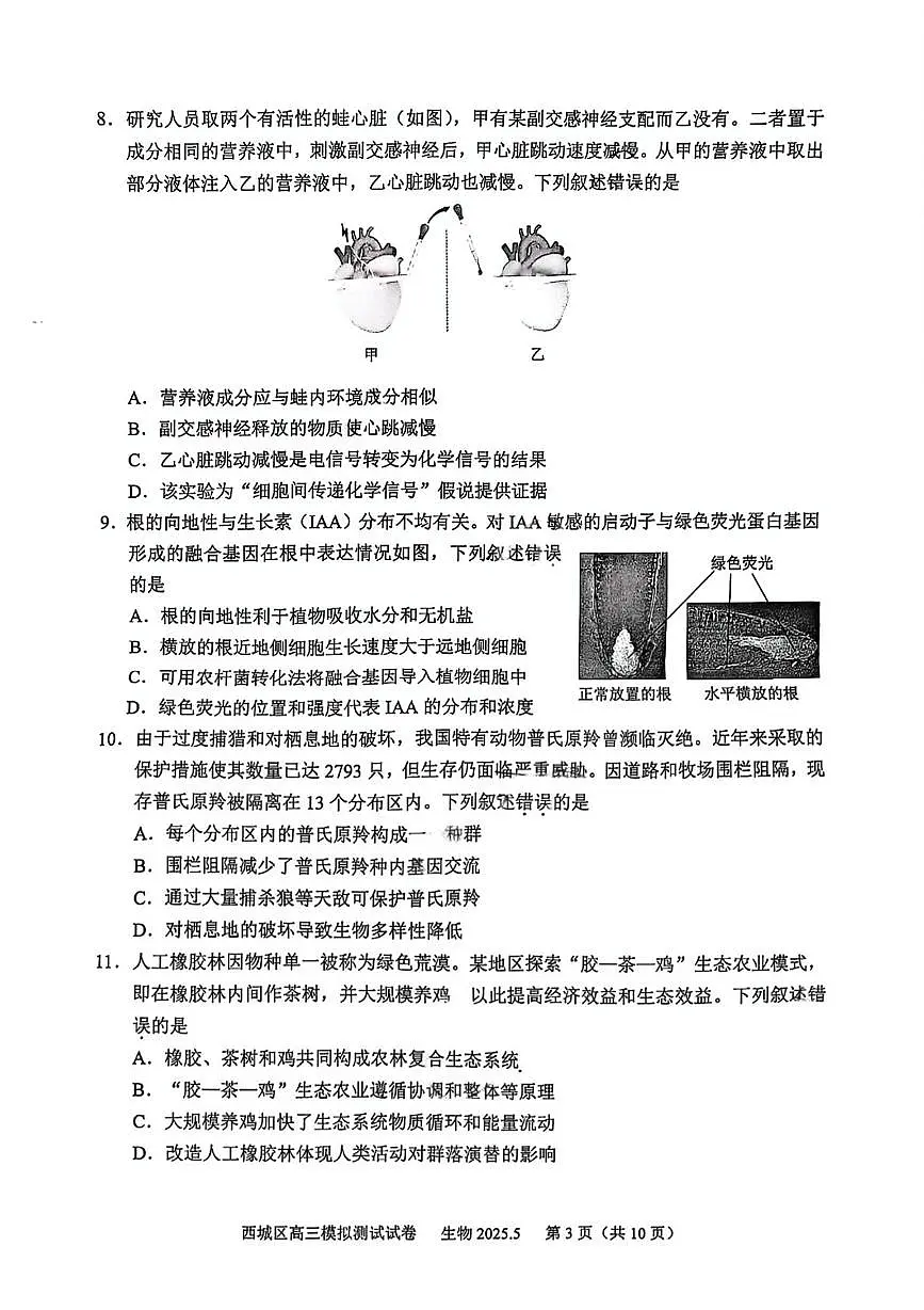 2025届北京市西城区高三下学期5月模拟测试生物试题（高考模拟）第3页