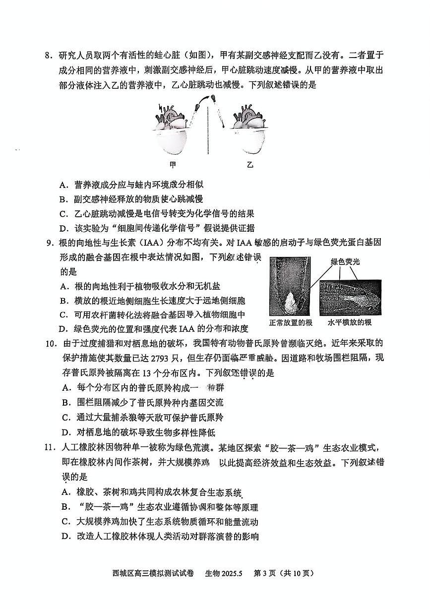 2025届北京市西城区高三下学期5月模拟测试生物试题（高考模拟）第3页