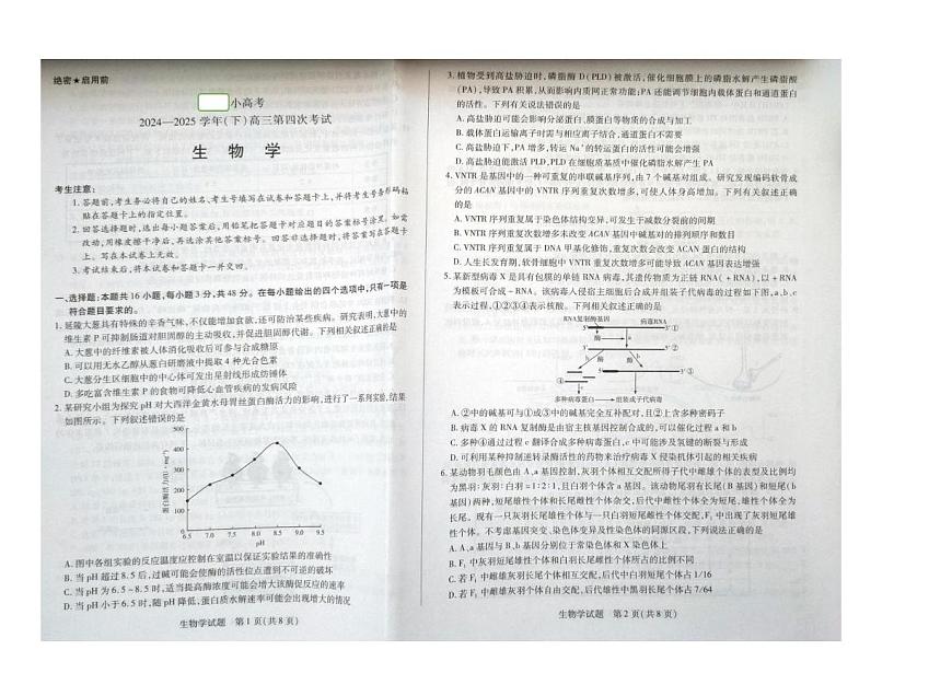 2025届河南省高三下学期第四次考试生物试卷（高考模拟）第1页