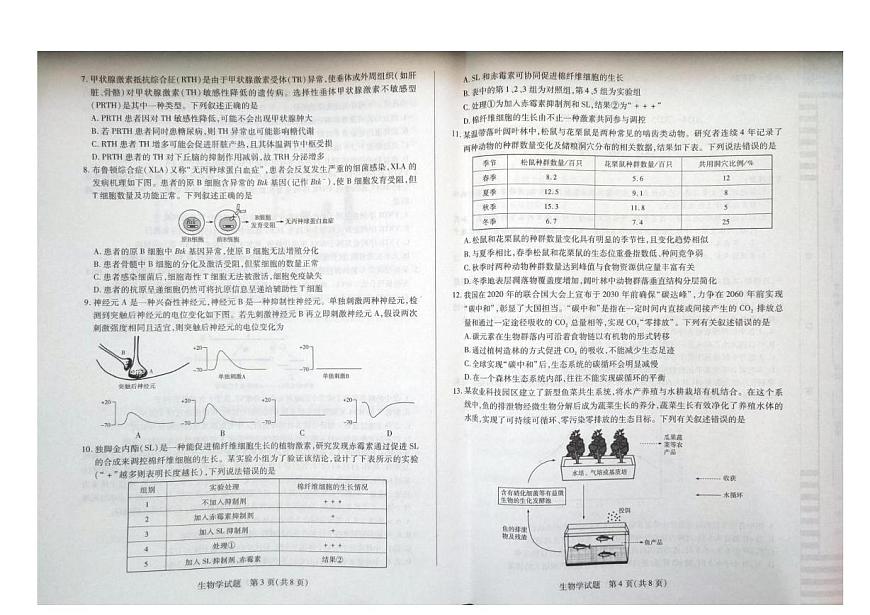 2025届河南省高三下学期第四次考试生物试卷（高考模拟）第2页