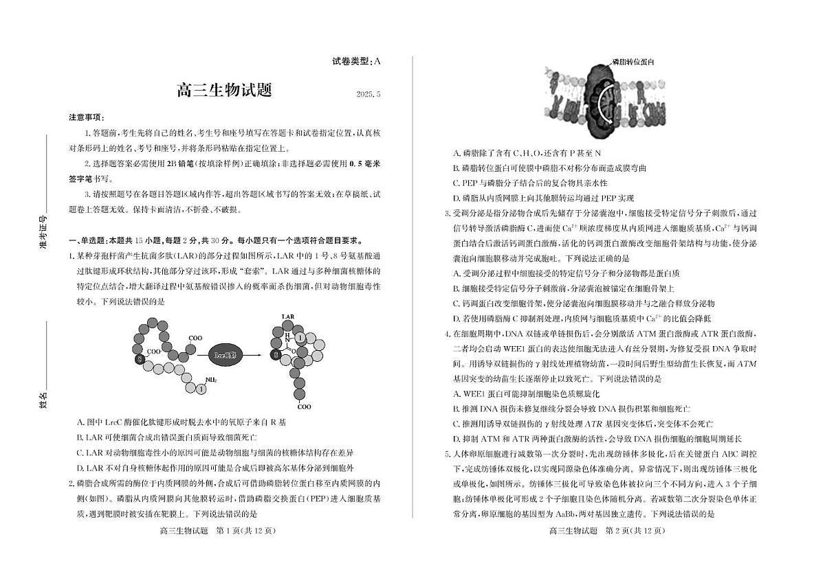 2025届山东省滨州市高三二模生物试题（高考模拟）第1页