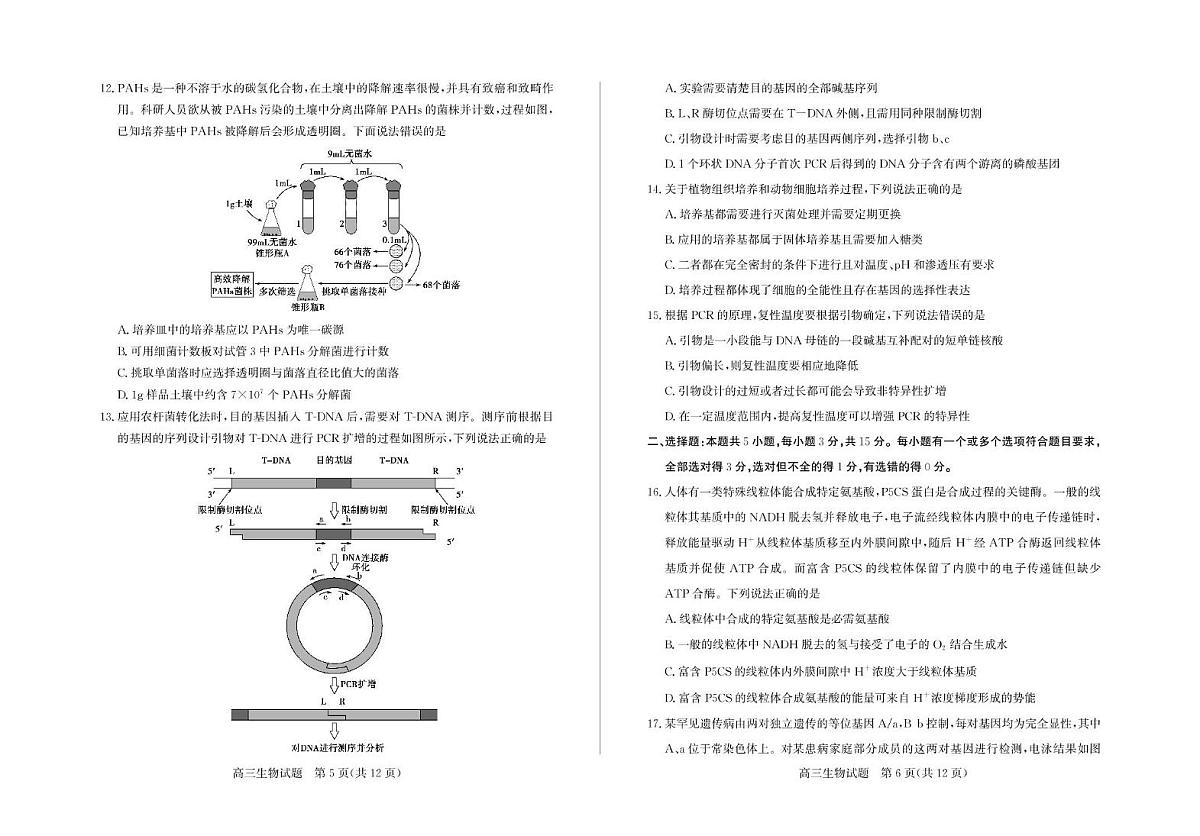 2025届山东省滨州市高三二模生物试题（高考模拟）第3页