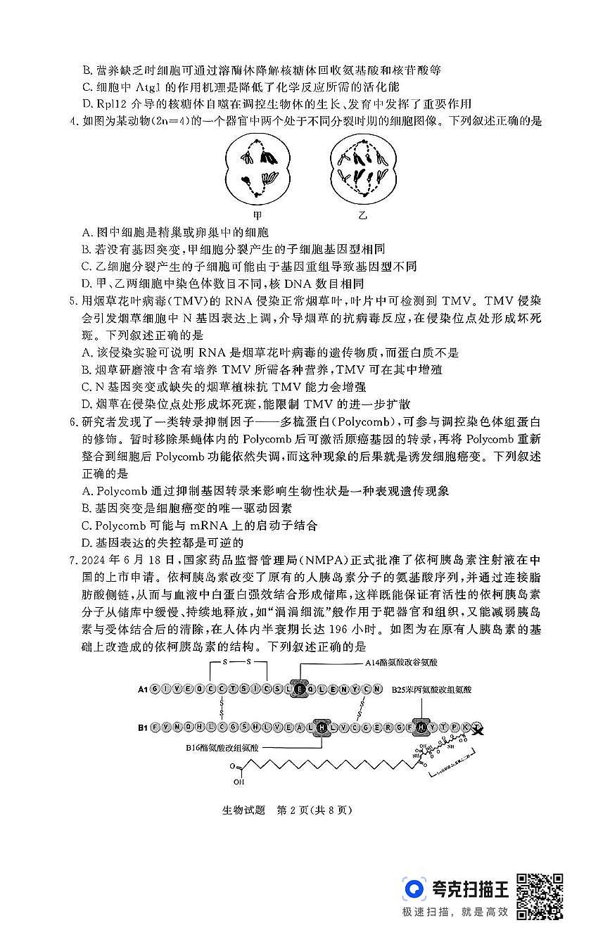 2025届山西省朔州市怀仁市第一中学校高三模拟预测生物试题（高考模拟）第2页