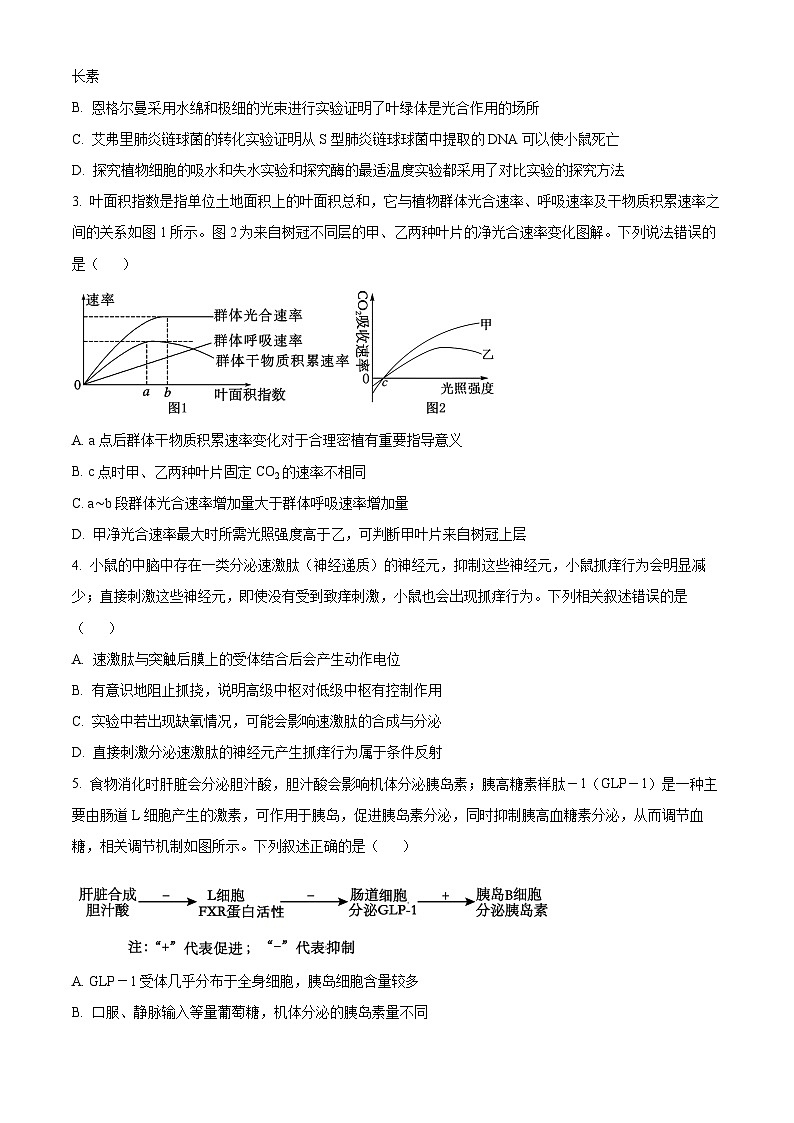 2025 届湖北省“黄鄂鄂”高三下学期 4 月联考生物试题（高考模拟）第2页