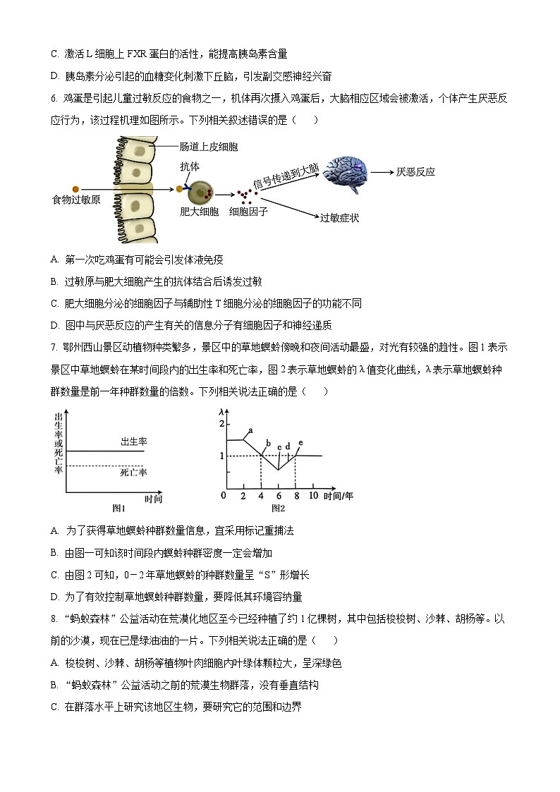 2025 届湖北省“黄鄂鄂”高三下学期 4 月联考生物试题（高考模拟）第3页