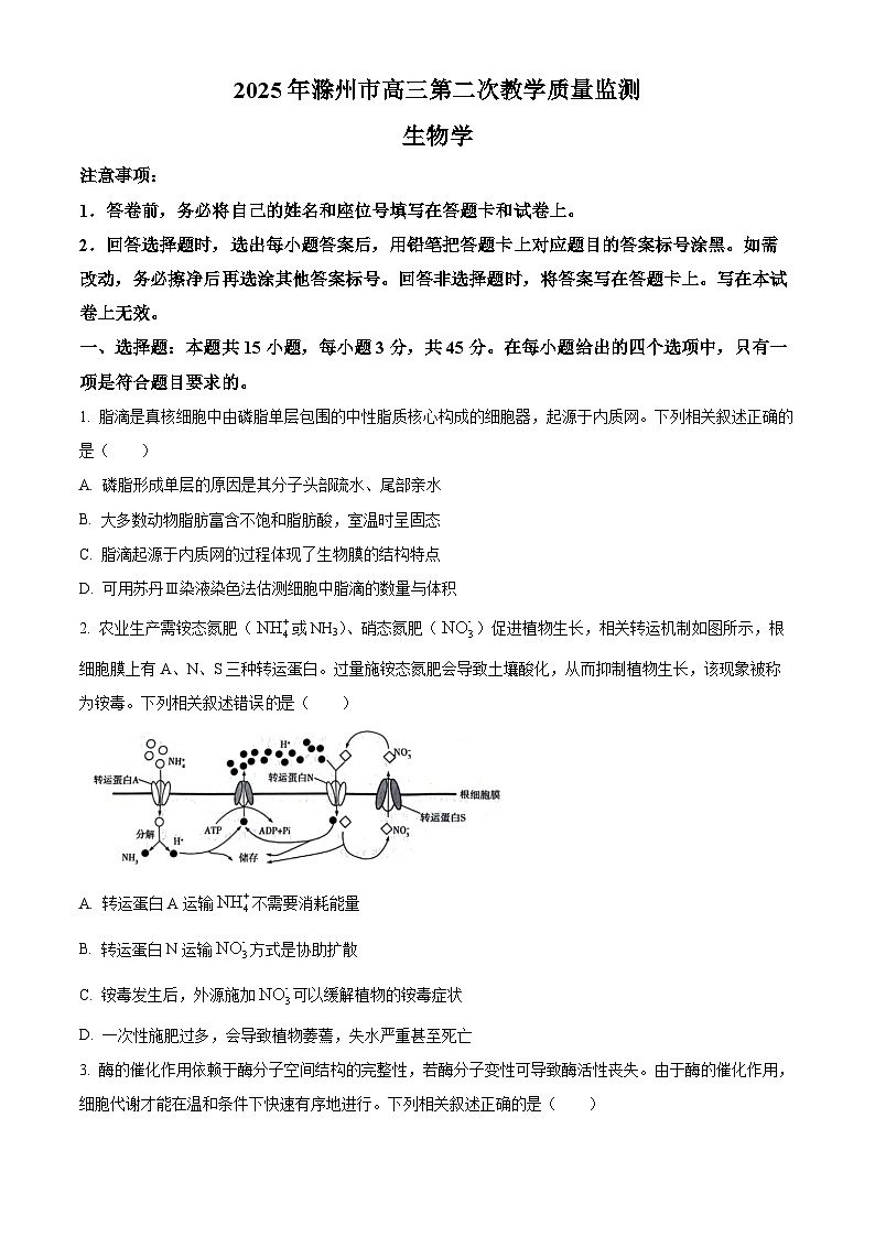 2025届安徽省滁州市高三二模生物试题（高考模拟）第1页